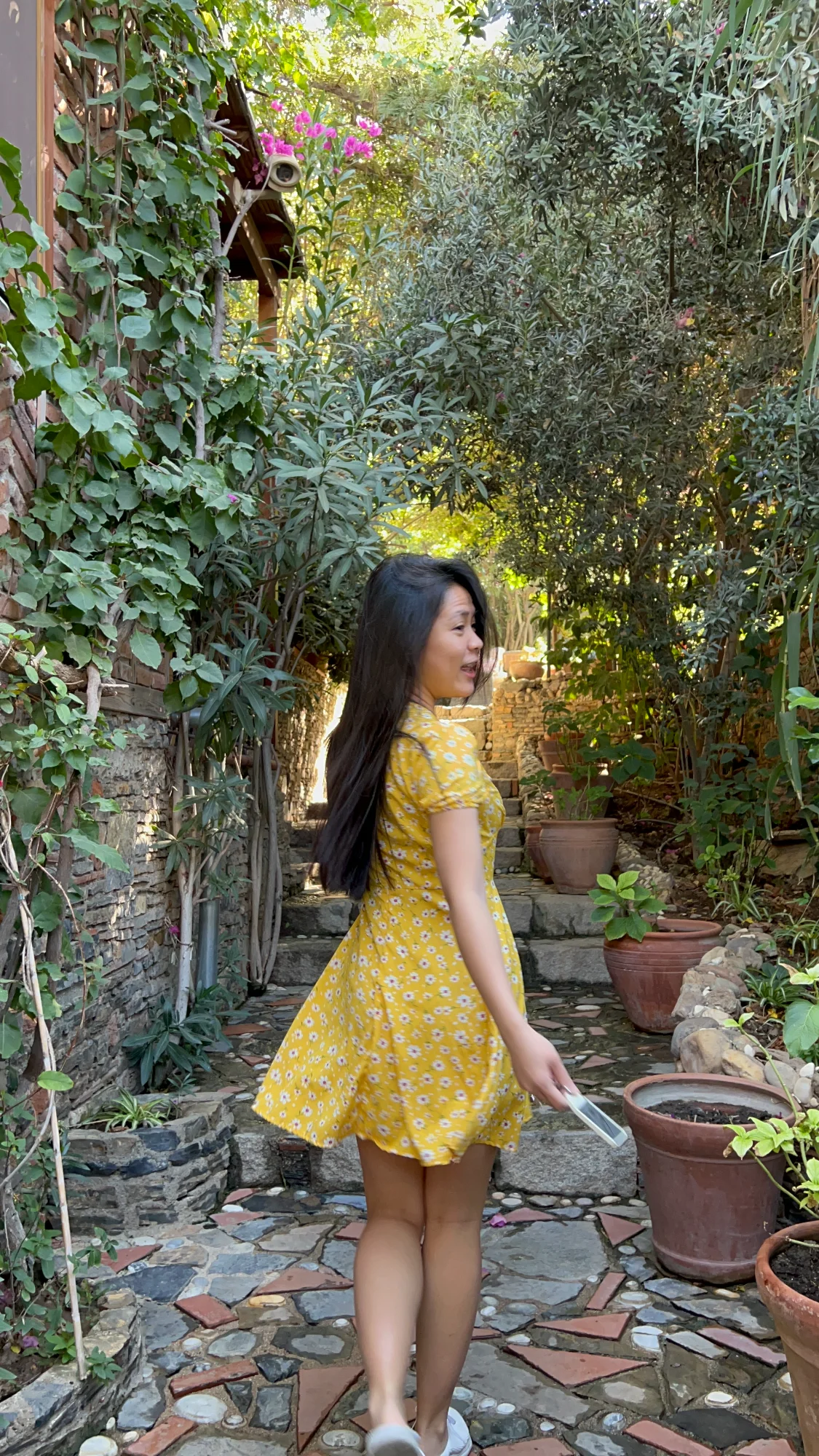 Yellow dress garden