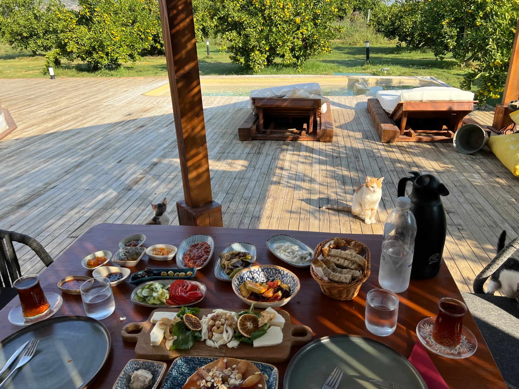 Turkish breakfast spread